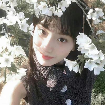 石头会说话